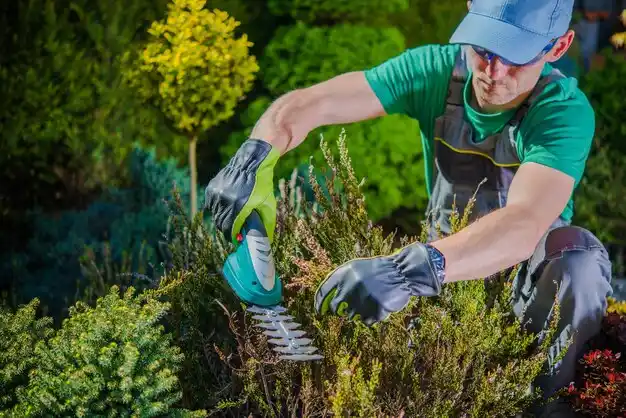 landscaping services Lisbon Falls
